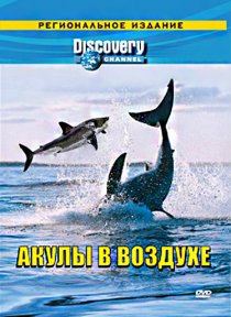 «Discovery: Акулы в воздухе»