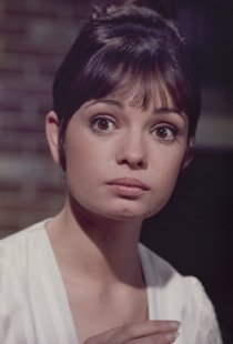 «Gidget Grows Up»