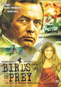 «Birds of Prey»