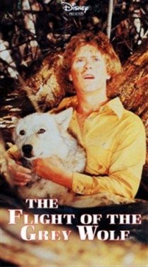 «The Flight of the Grey Wolf»