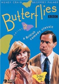 «Butterflies»