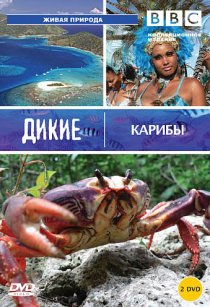 «BBC: Дикие Карибы»