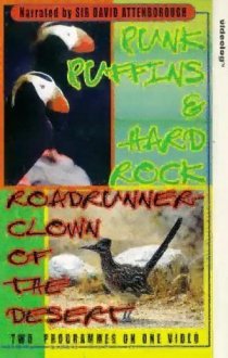 «Roadrunner»