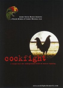«Cockfight»
