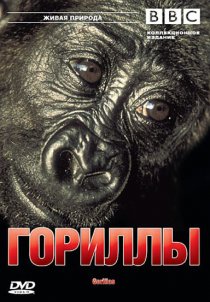 «BBC: Гориллы»