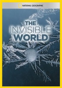 «National Geographic: The Invisible World»