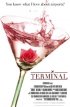 Постер «Terminal»