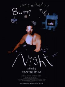 «Bump in the Night»