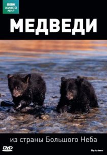 «BBC: Медведи из страны большого неба»