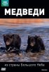 Постер «BBC: Медведи из страны большого неба»