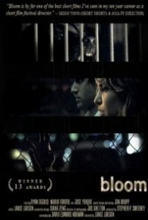 «Bloom»