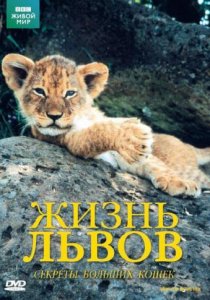 «BBC: Жизнь львов»