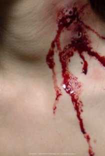 «Blood + Roses»