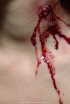 Постер «Blood + Roses»
