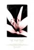 Постер «Fate Twisted Simply»
