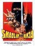 Постер «Шаолинь против ниндзя»