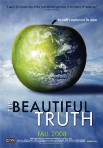 «The Beautiful Truth»