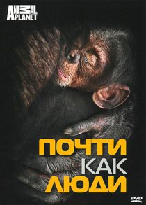 «Discovery: Почти как люди»