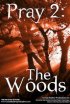 Постер «Pray 2: The Woods»