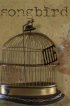 Постер «Songbird»