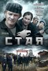 Постер «Стая»