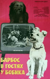 «Барбос в гостях у Бобика»