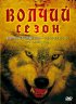 Постер «Волчий сезон»