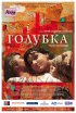 Постер «Голубка»