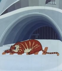 «Бабочка и тигр»