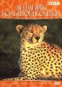 Постер «Дневник большой кошки»