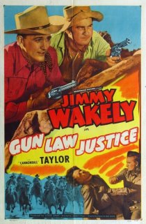 «Gun Law Justice»