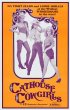 Постер «Blazing Stewardesses»
