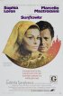 Постер «Подсолнухи»