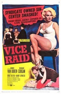 «Vice Raid»