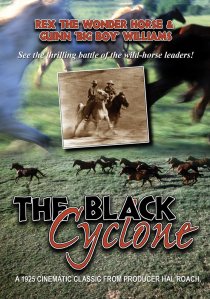 «Black Cyclone»