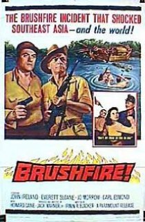 «Brushfire»