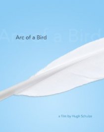 «Arc of a Bird»