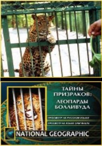 «НГО: Тайны призраков: Леопарды Болливуда»
