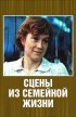 Постер «Сцены из семейной жизни»