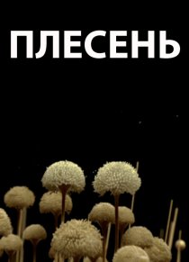 «Плесень»