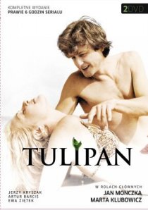 «Тюльпан»