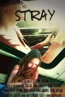 «Stray»