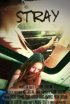 Постер «Stray»