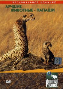 «Animal Planet: Лучшие животные-папаши»