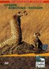 Постер «Animal Planet: Лучшие животные-папаши»