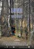 Постер «Зеленая луна»