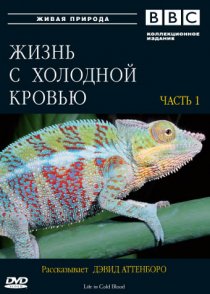 «BBC: Жизнь с холодной кровью»