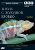 Постер «BBC: Жизнь с холодной кровью»