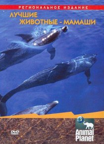 «Animal Planet. Лучшие животные-мамаши»