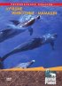 Постер «Animal Planet. Лучшие животные-мамаши»